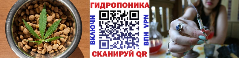 Купить  Оренбург  Cannafood конопля 
