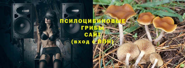 apvp Киренск