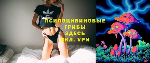 тгк Кодинск
